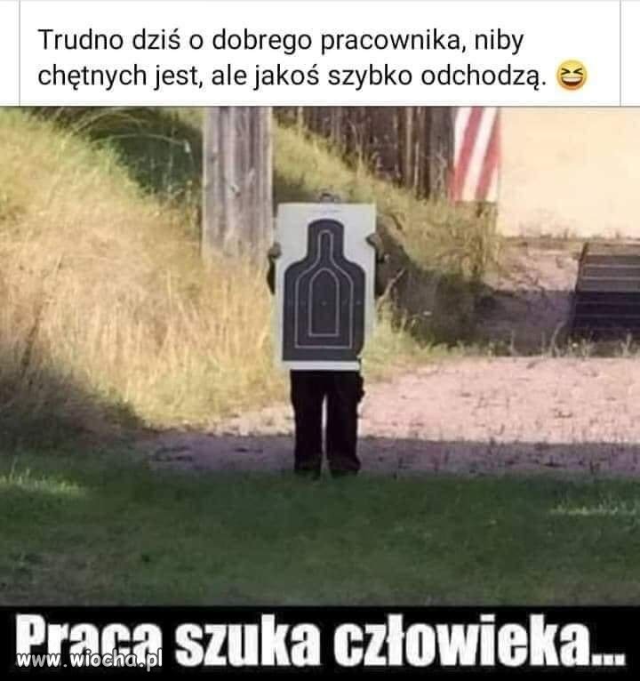 Praca szuka człowieka... 
