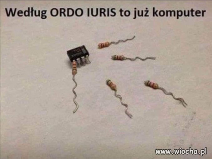 Też mi się tak wydaje 