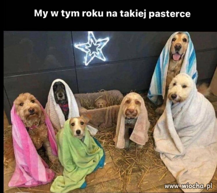 Pasterka 2021