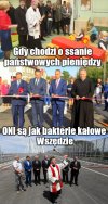 Konkwistadorzy 