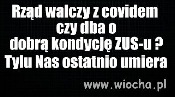 Kolega pytał