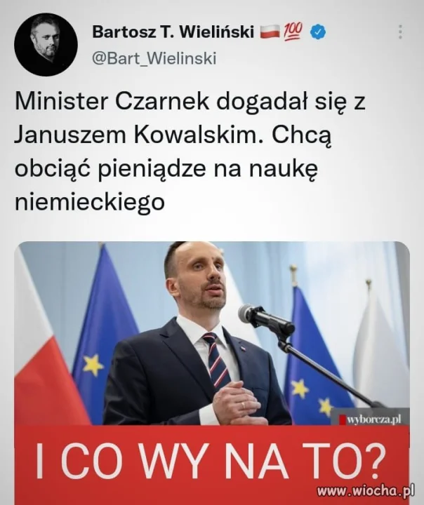 Dwie ameby się zgadały 