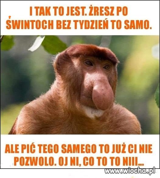 A jak się powie po co tyle robi