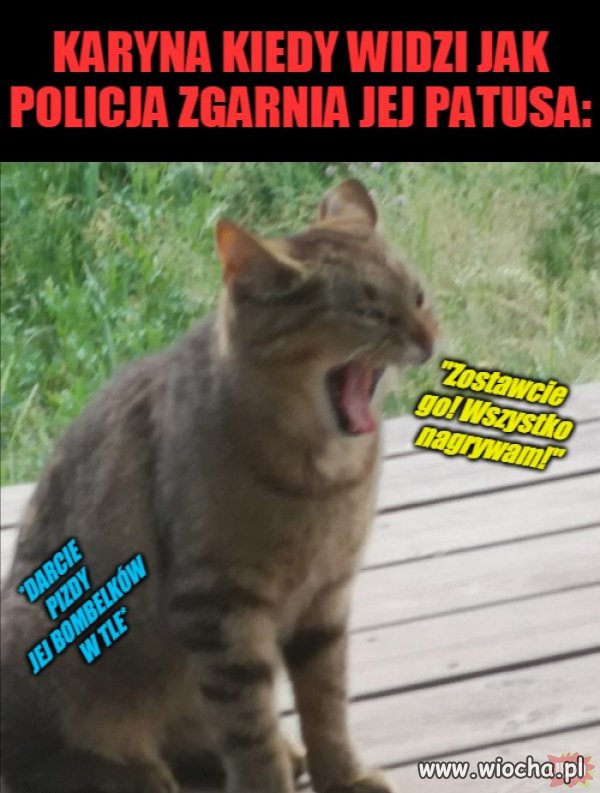 Karyna.