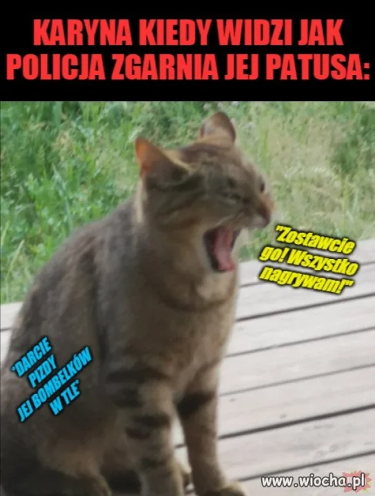 Karyna.