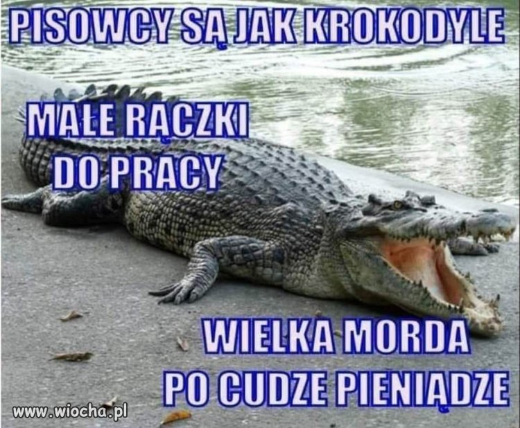 I jak zeżre ofiarę 
