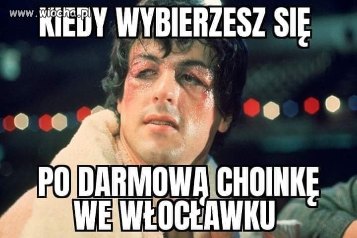 Kiedy dają darmowe choinki.