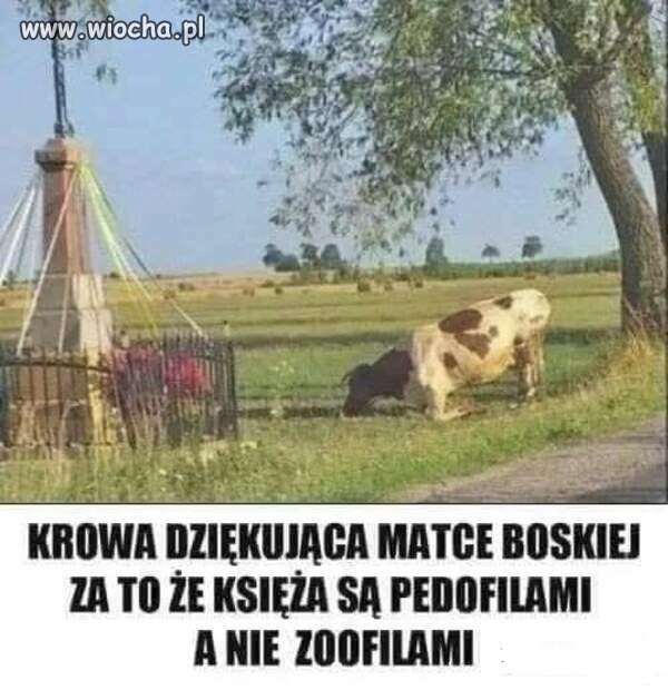 Taka sytuacja.