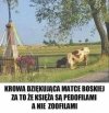 Taka sytuacja.