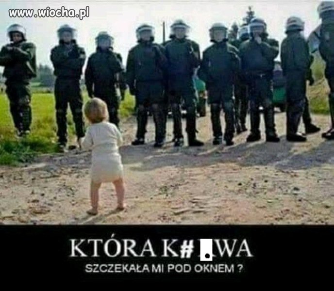 Sąsiedzi z Nowogrodzkiej