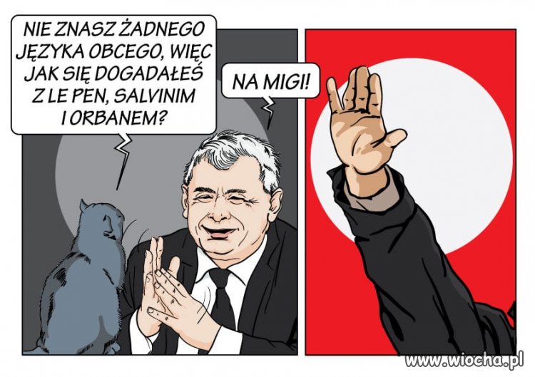 ... na migi 