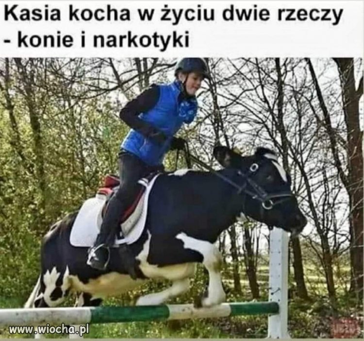 Każdy ma jakąś pasję 