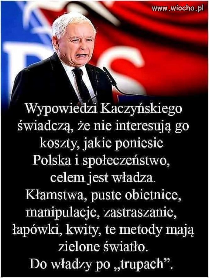 Po trupach do celu ...