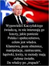 Po trupach do celu ...