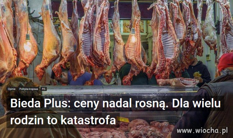 PiS wprowadza program Bieda Plus!