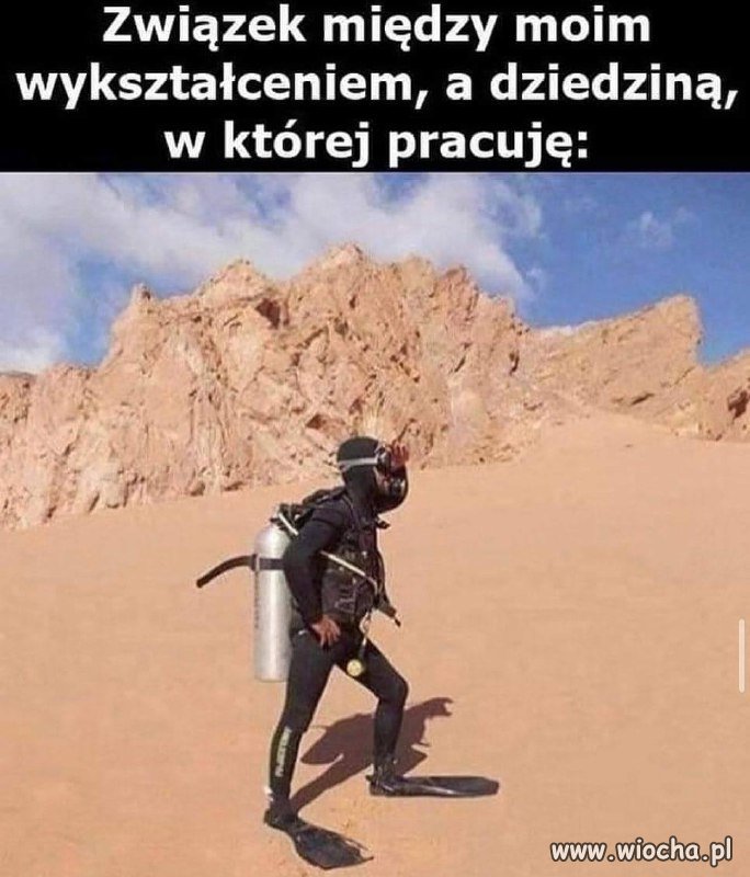 Wykształcenie a praca 