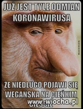 Ciekawe jaka będzie na 5 fale
