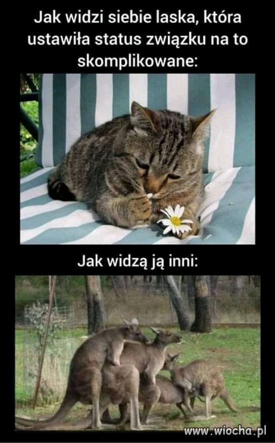 Status związku