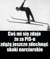 PiS jak wirus