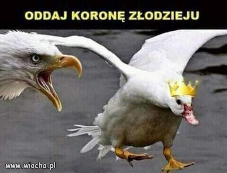 Opis niepotrzebny