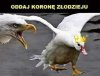 Opis niepotrzebny