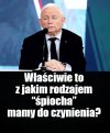 Kolega pytał