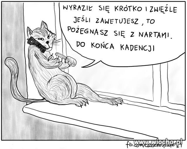 Co teraz zrobi Anżej?