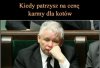 Prezes jest załamany 
