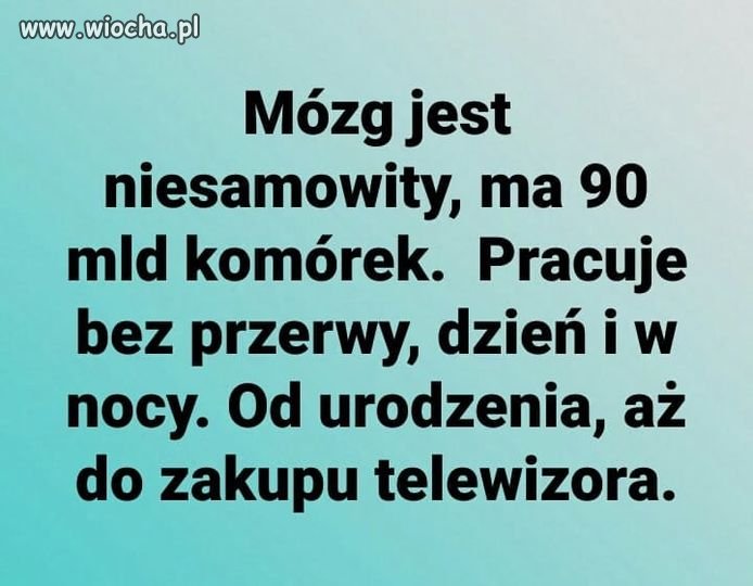 Taka kolej rzeczy