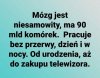 Taka kolej rzeczy