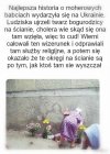 Święte miejsce i cudowne objawienie
