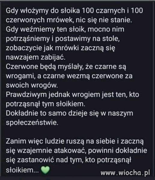 Idealny PiS