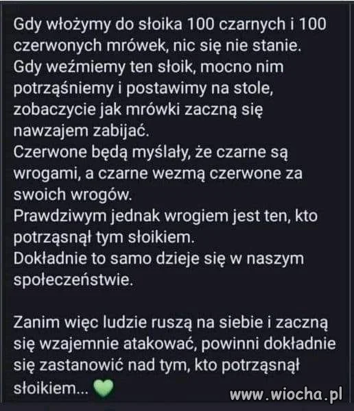 Idealny PiS