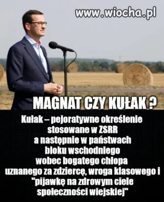  Co sądzicie?