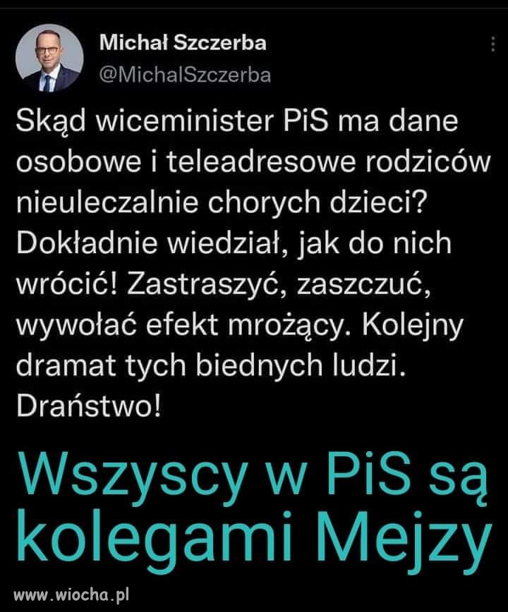 Państwo pis. 