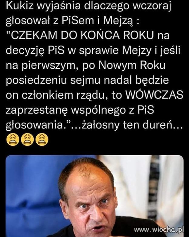 Żałosny typ 