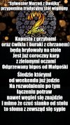 Sylwester Marzeń z Dwójką