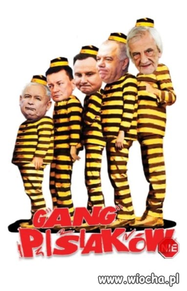 Gang pisiaków
