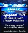 Bez tytułu. 
