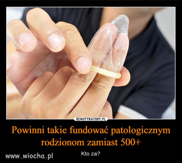 Moze powinno się zafundować program Sterylizacja+?
