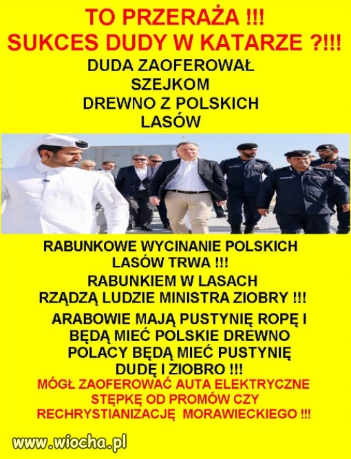 Rabunek Polski przez PiS, trwa...wycinaja lasy.