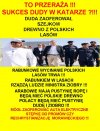 Rabunek Polski przez PiS, trwa...wycinaja lasy.