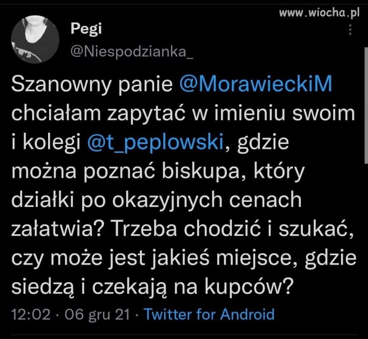 Im oferty same się pchają 