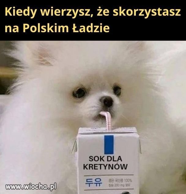 Tyle w temacie