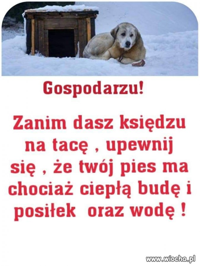 Popieram 
