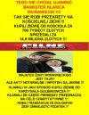 Jak sie dorobic na klamstwach i manipulacji?