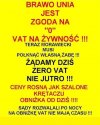 Szach i mat ... w dwóch ruchach ...