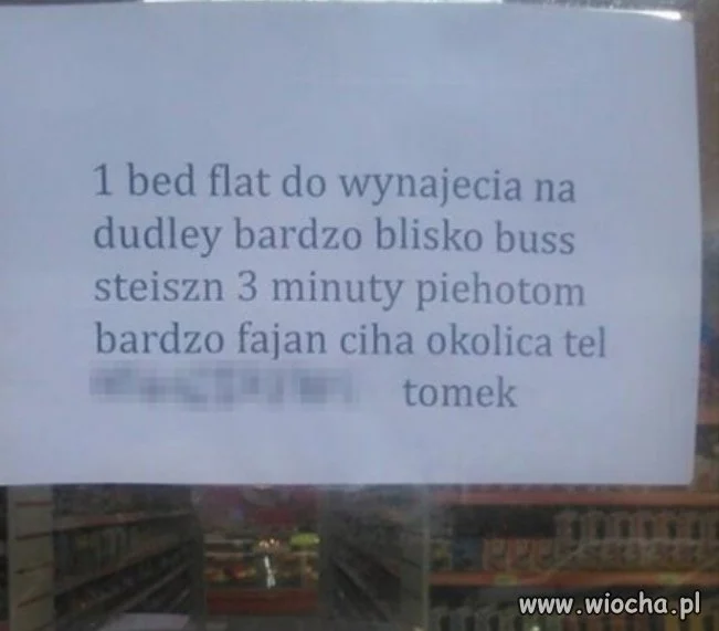 Takie tam ogłoszenie 