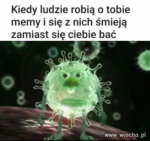 A w telewizjach nagonka 