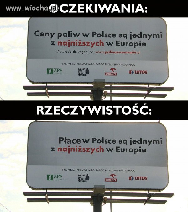 Nowy Polski Ład